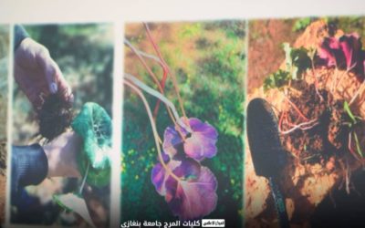 كلية الآداب والعلوم – الأبيار تحتفي باليوم العالمي للتنوع الحيوي